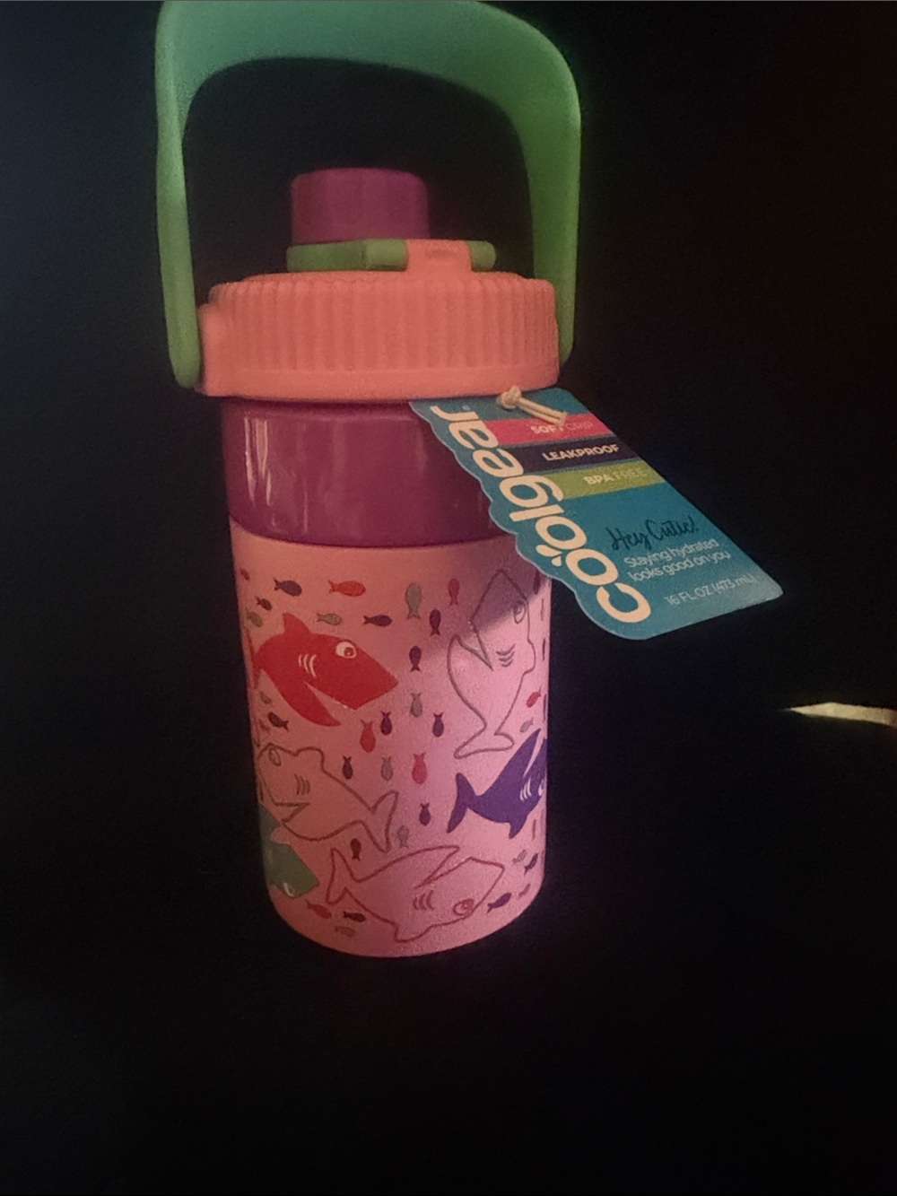 Kids Pink Shark-Print Insulated Bottle with Mint Handle